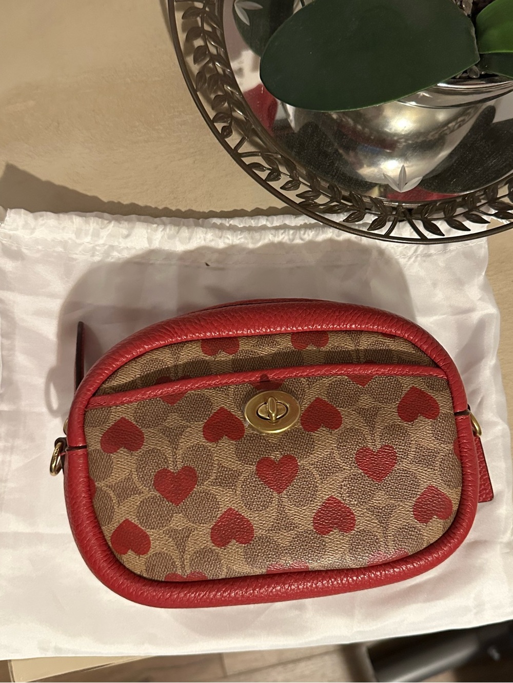 Coach Signature Heart Print Camera Bag Valentine's Hearts Coated Crossbody purse